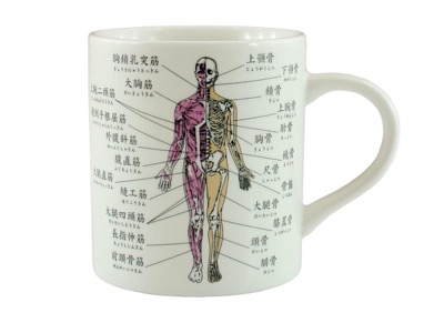 お茶を飲んでるだけなのになんだか頭が良くなるマグカップ 人体 マグカップ
