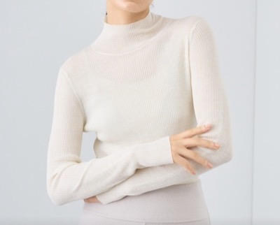 ANAYI（アナイ）　シアーウールシルクリブハイネック プルオーバー