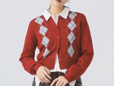 Ray BEAMS(レイビームス) アーガイル クルーネック カーディガン