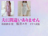 【夫に間違いありません】桜井ユキ ドラマ衣装 シーン別 全話まとめ！くずはら さはる役の洋服 バッグ 靴 アクセなど